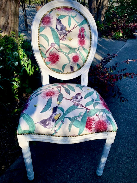 Bees in the Hakea Chair